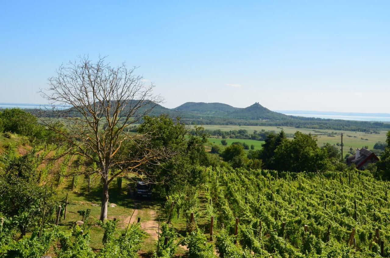 Grand Cru 3. Vendégház Hegymagas Extérieur photo