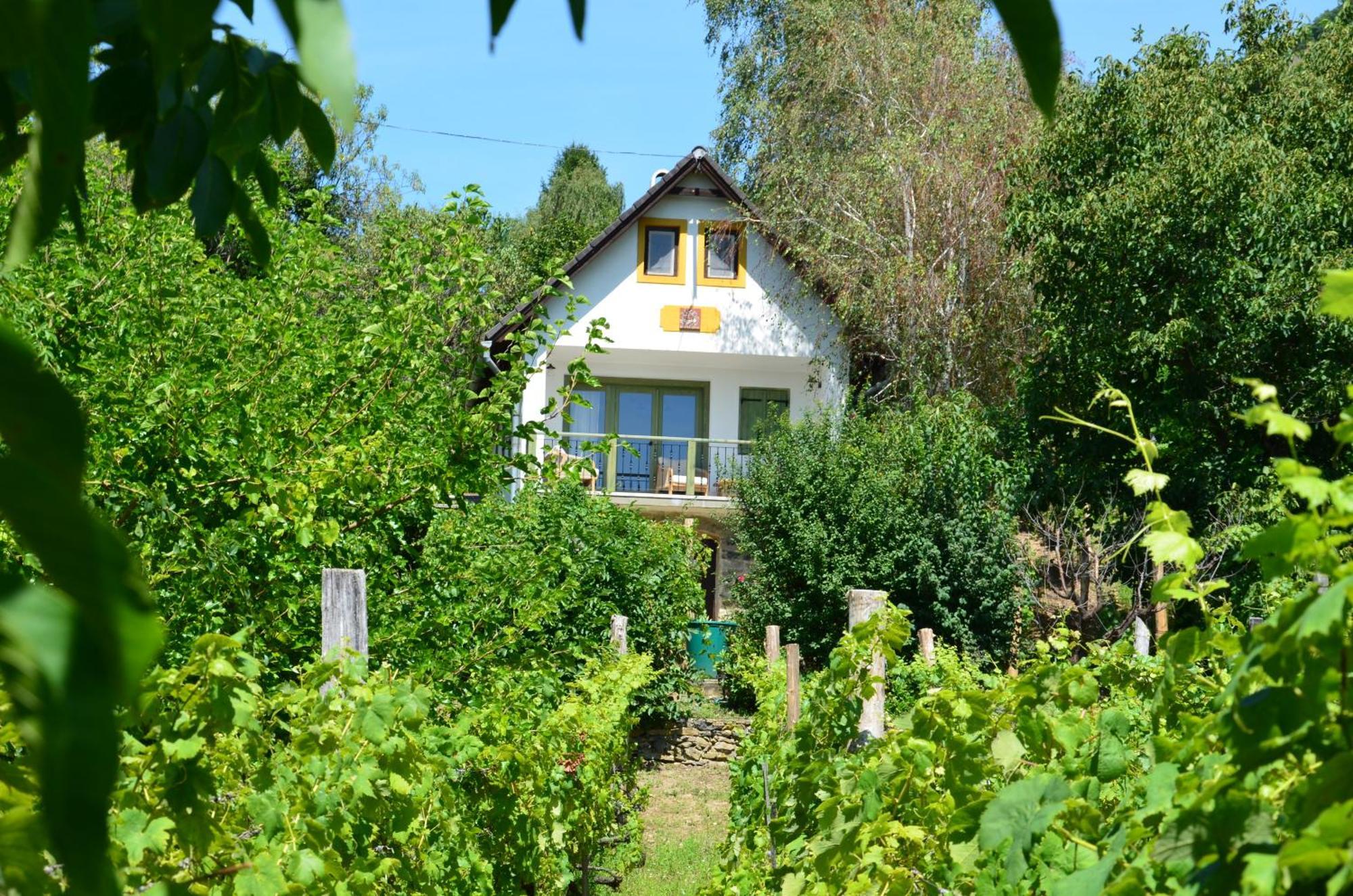Grand Cru 3. Vendégház Hegymagas Extérieur photo