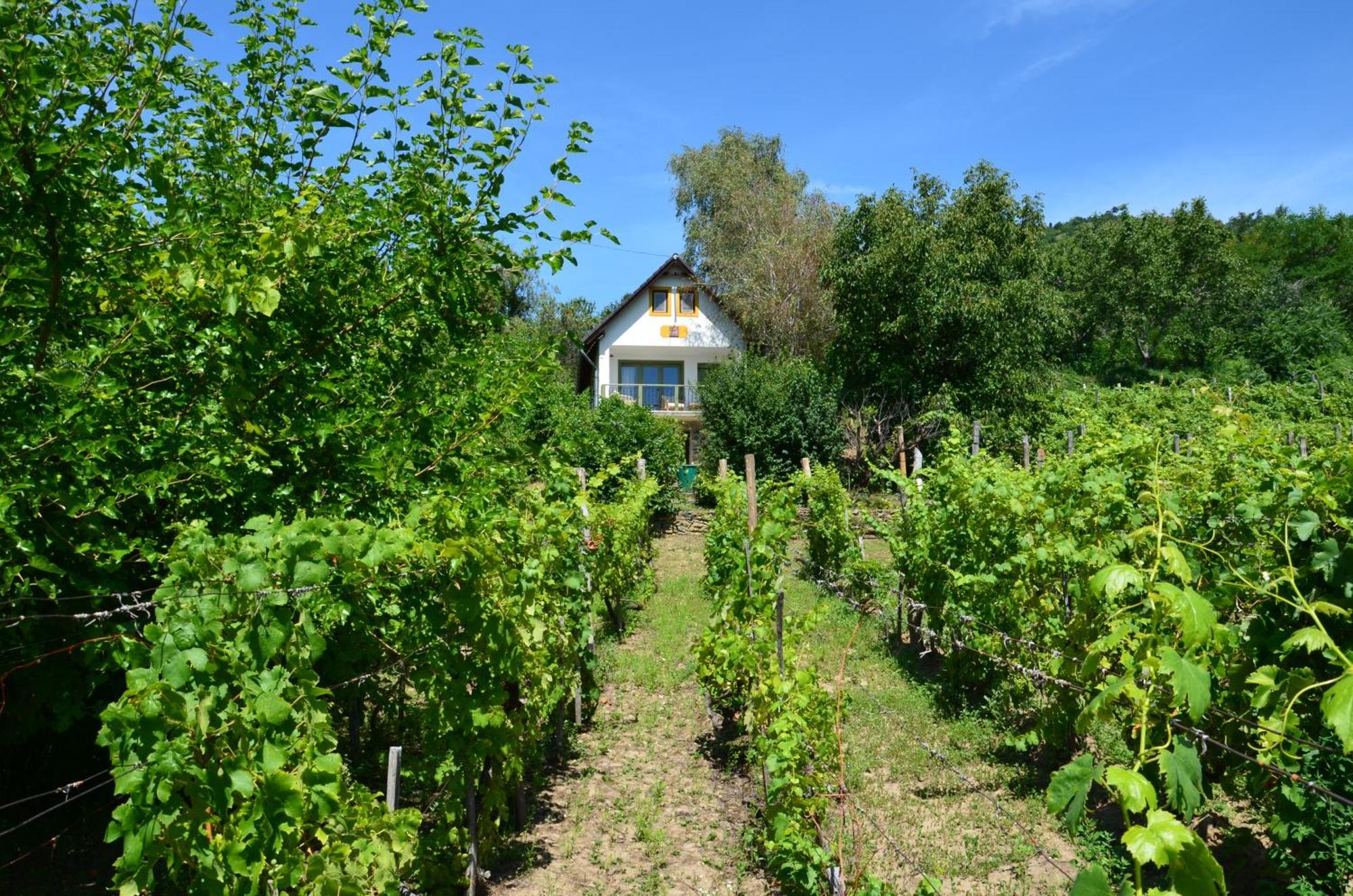 Grand Cru 3. Vendégház Hegymagas Extérieur photo
